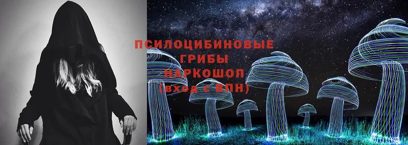 Галлюциногенные грибы Magic Shrooms  Майкоп 